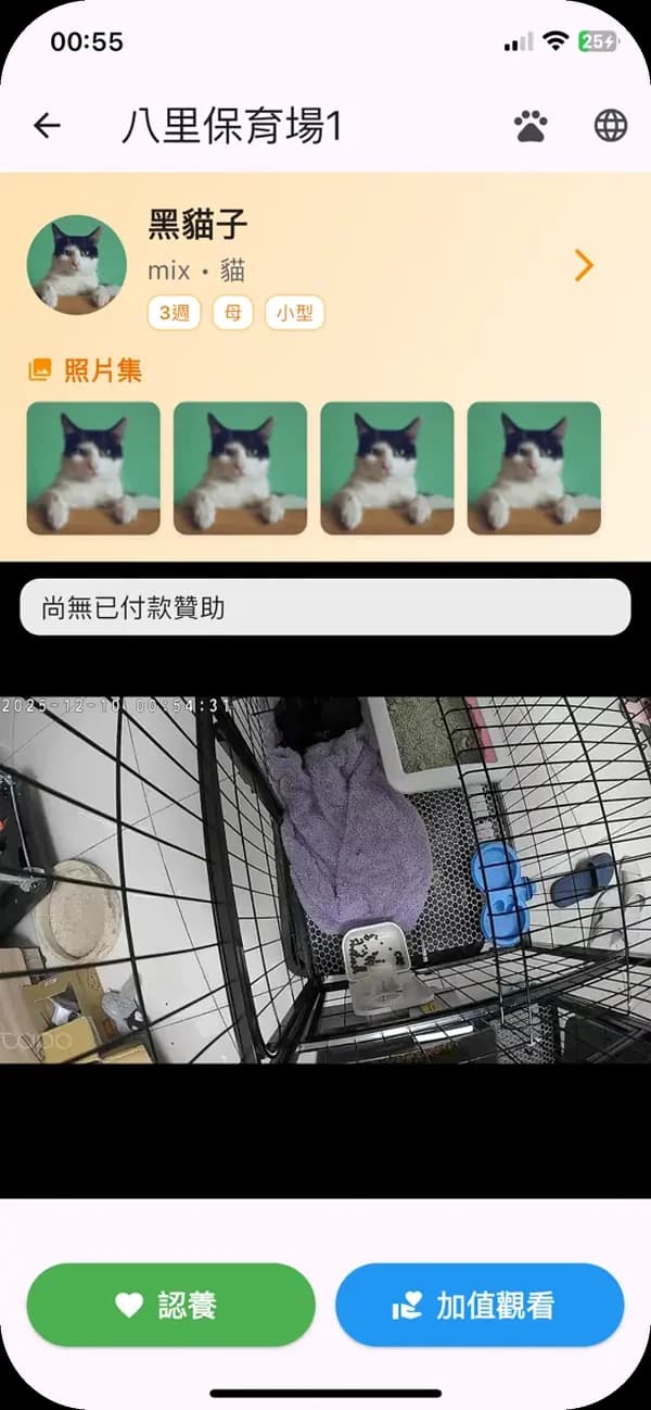 即時影像畫面