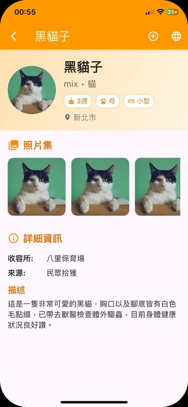 浪浪檔案畫面:黑貓子,3 週大